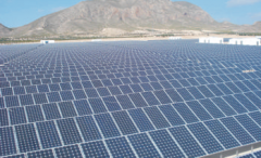 CentReal25Mw