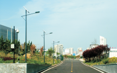 HaiyangCity_Shandong